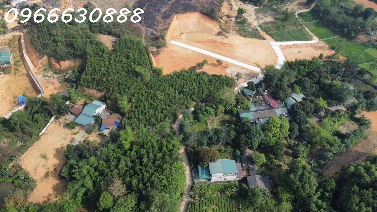 z6758450888880_0dfba45a97b00c6a6717aa2db8789764