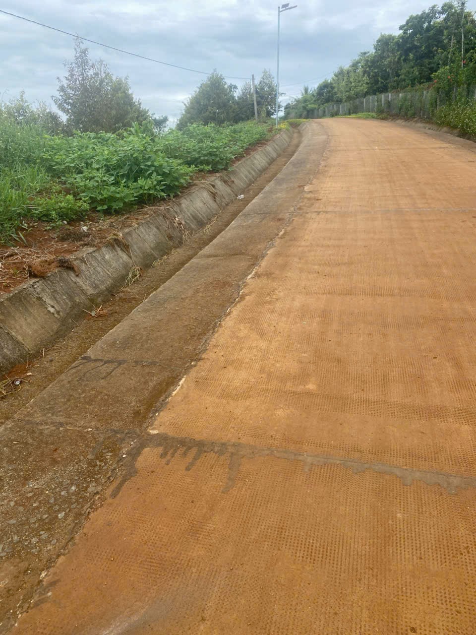 z6763871349019_e0b74f6b94a094b94211824b4b034b77