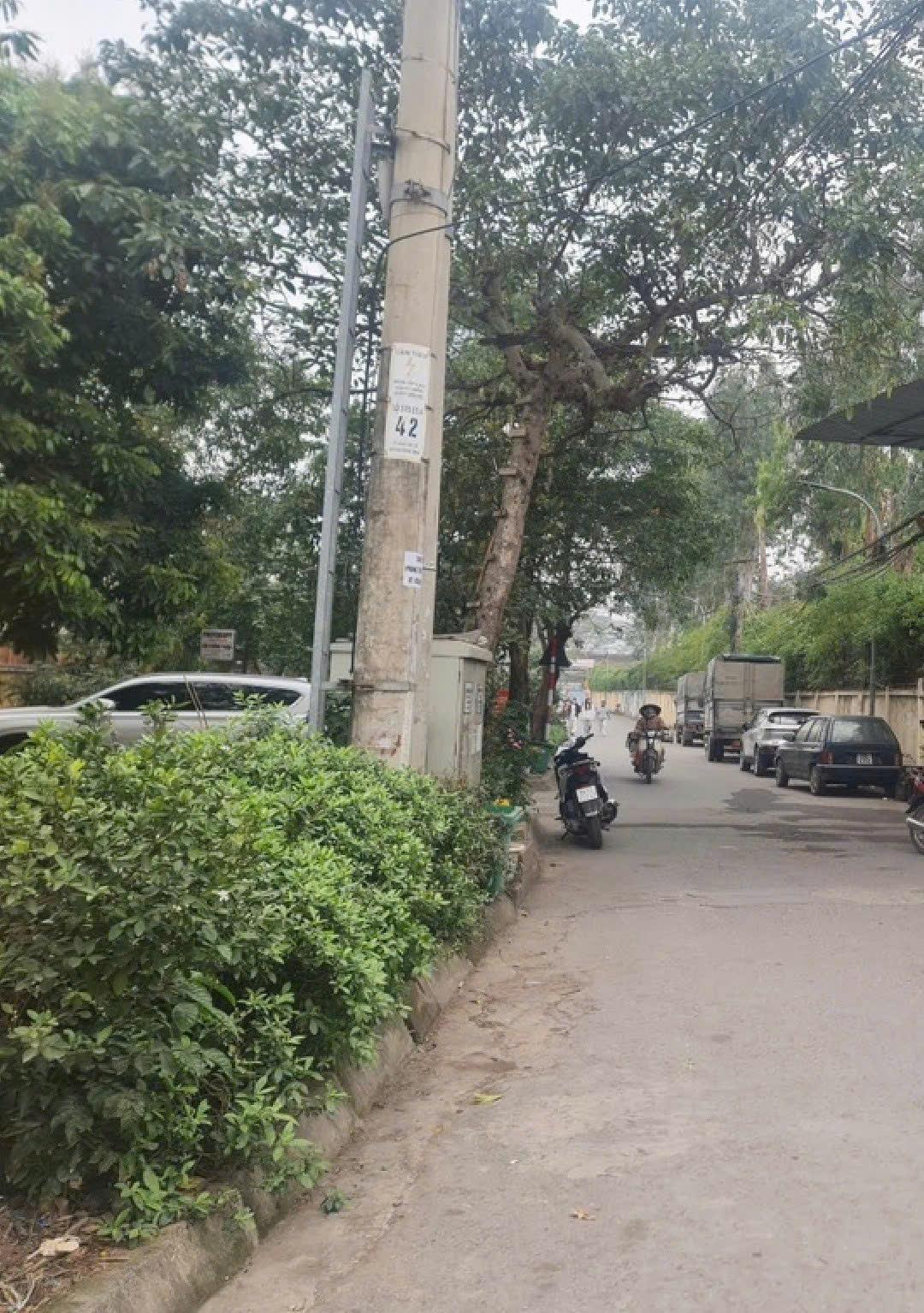 z6765951040329_86f9dac2e3e39d675ea14443535d6aea