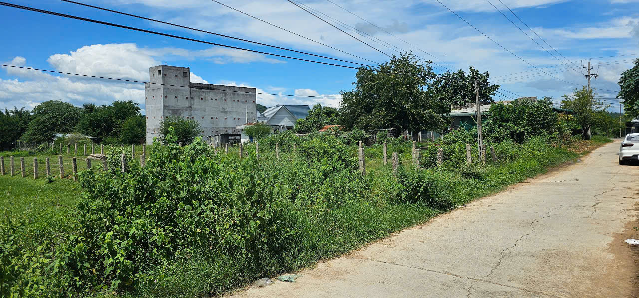 z6766514233021_f32252355a10362403a437411e8b4288