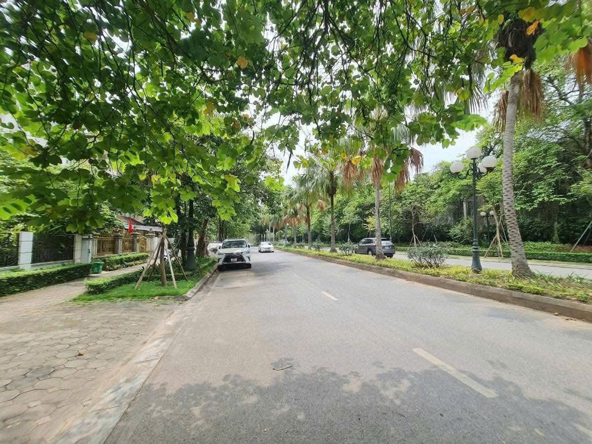 z6768188786111_80a278861fde9551a1f31c424d71dcca