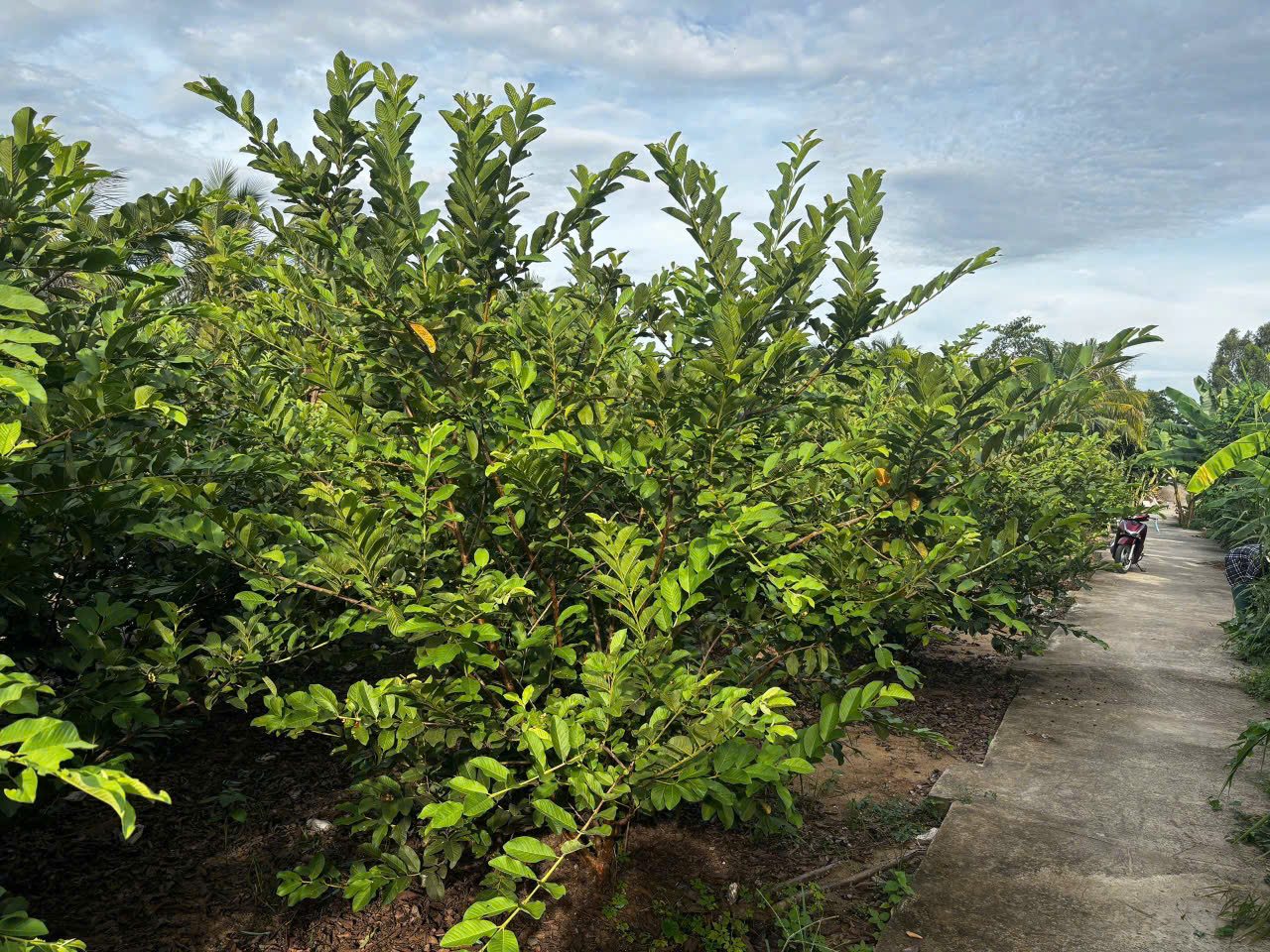 z6768803646212_cb3fc1825d66d9573ac92e6ad5fd8d0b