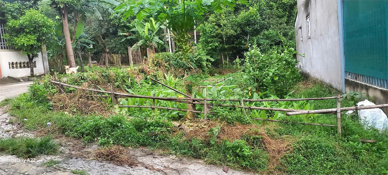 z6770442350786_203991c2f9fbf58850ea962e4a742c0a