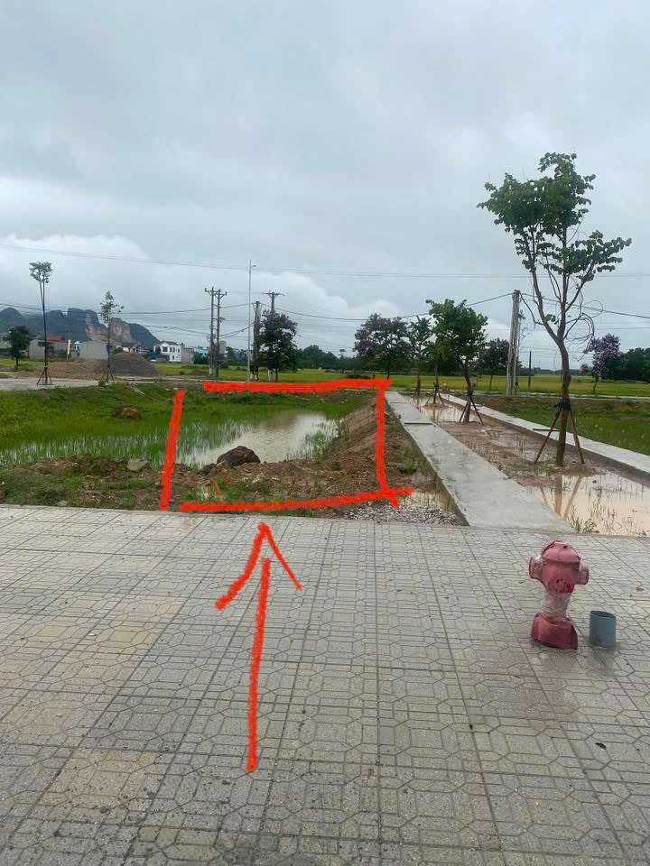 z6770716130848_f45a694afd4b8bc742fb91acfb2e5082