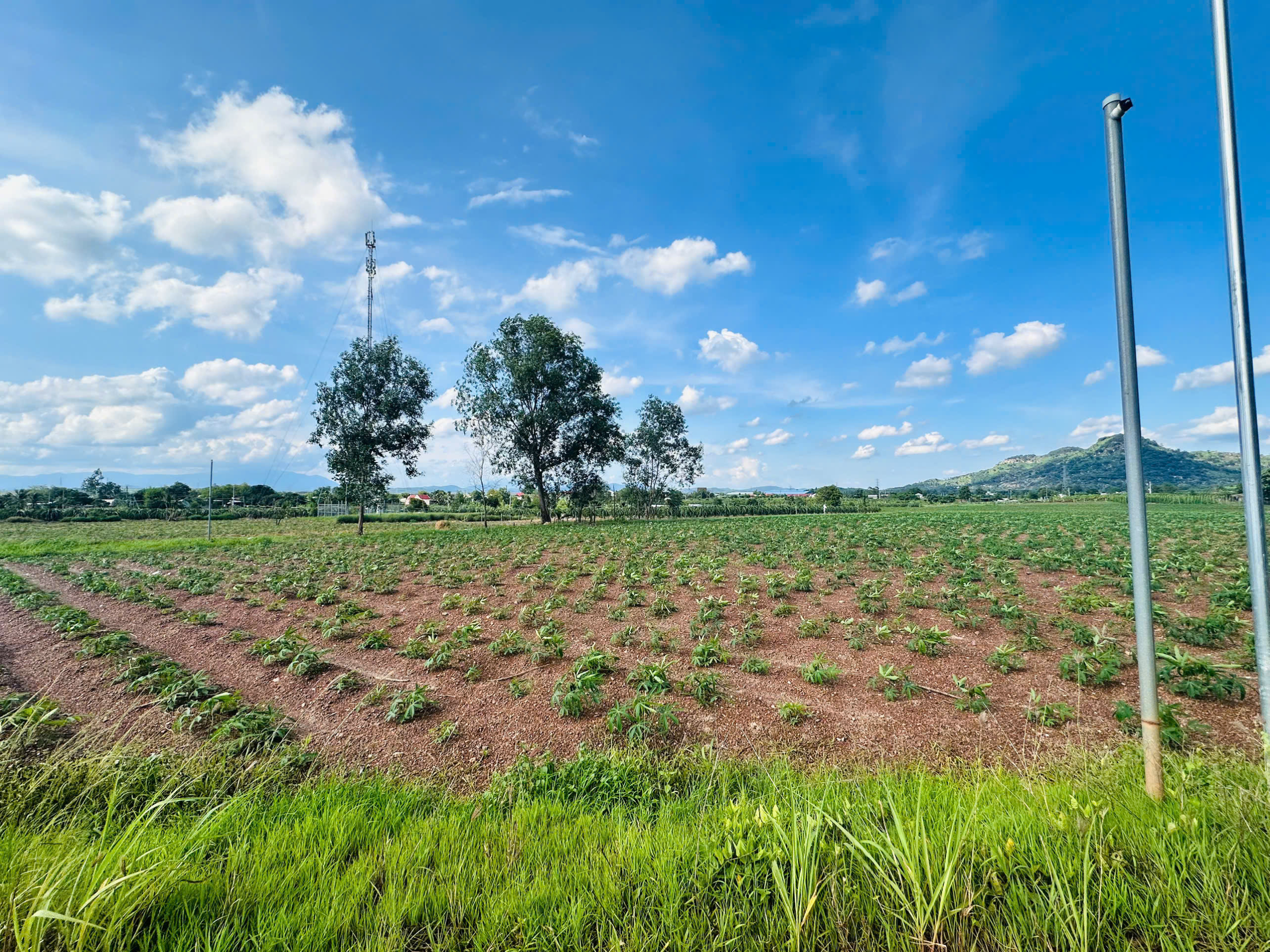 z6770868551543_75baf8493c92b660480360247c4b1ce3