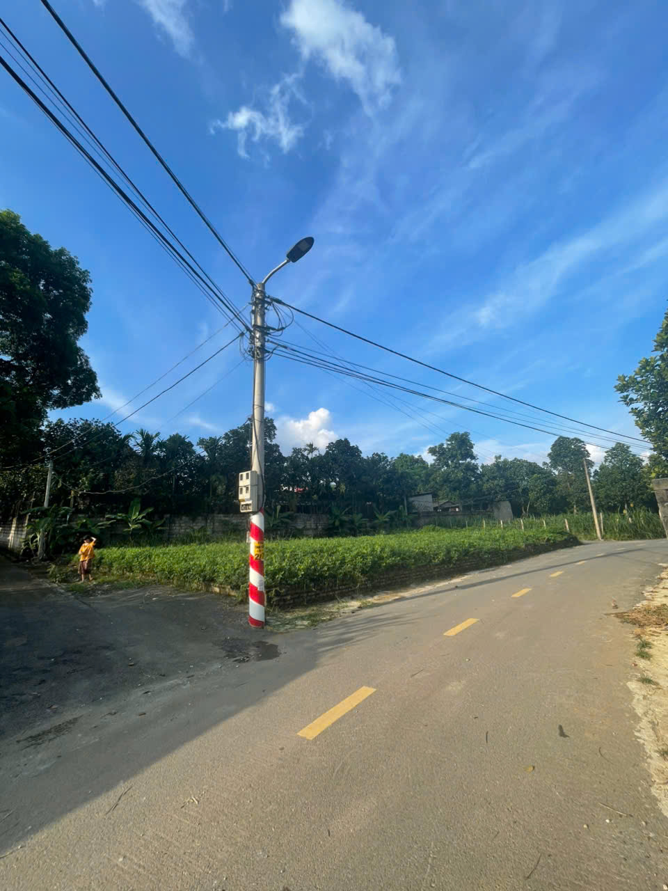 z6773282702044_0b35fbb9fb6df452e17582cf86d78018