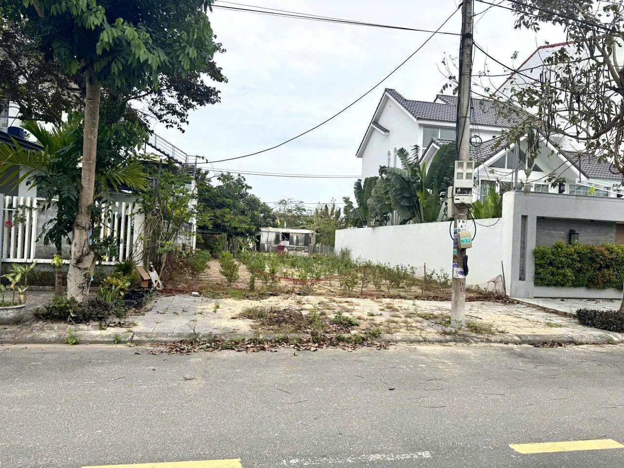 z6773795207564_0f6f0bc92370179646e8f7a7edea7597