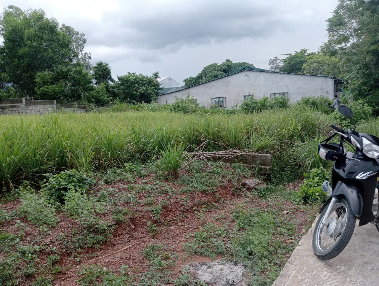 z6777109625098_4ae1d86a04b695170f054db5218f4695