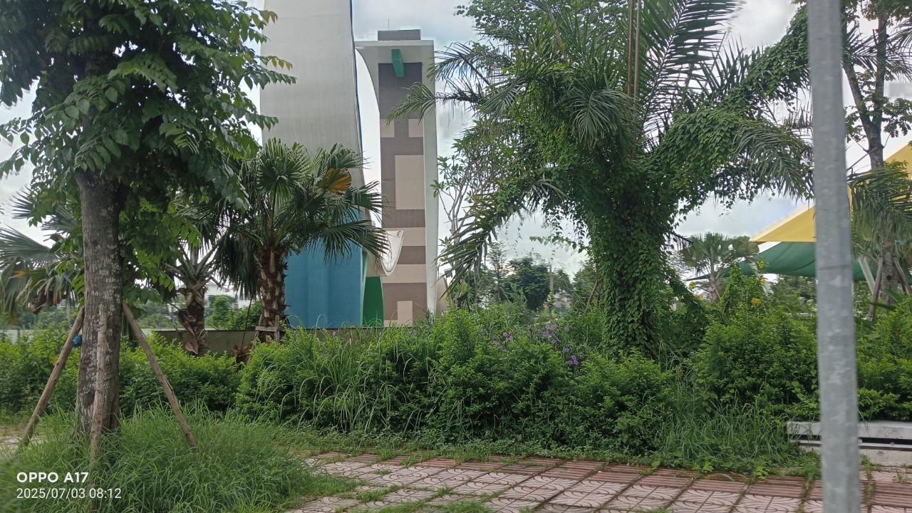 z6777380262329_24653d1b6692a844d9c1e0d3f559b60c