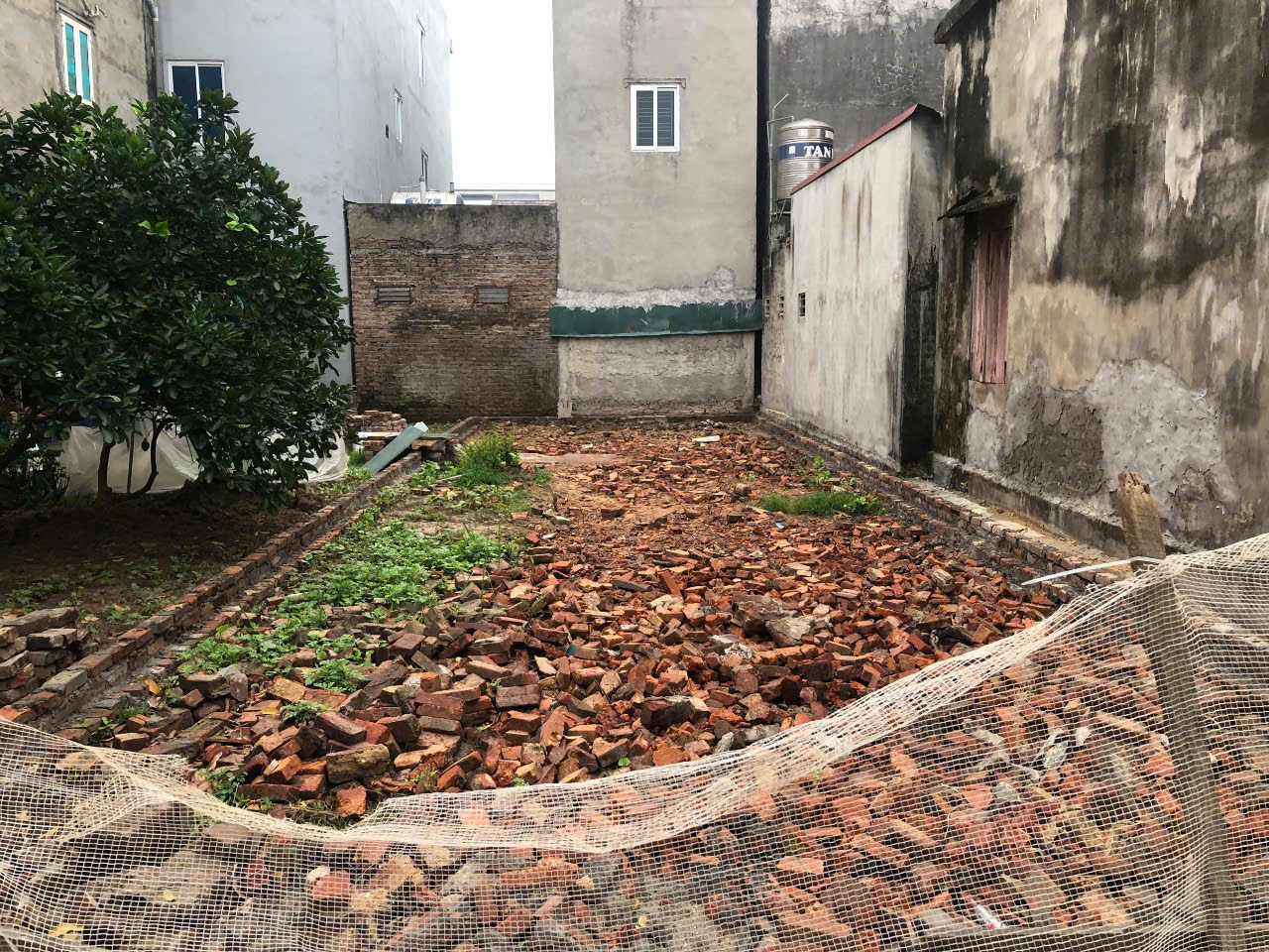 z6782340952909_12b89fa7020abea6b52b806b86733d8e