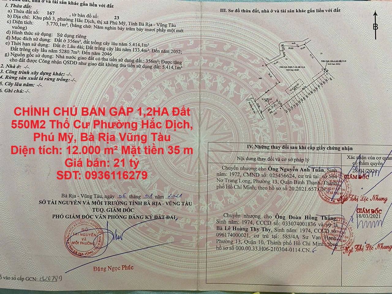 z6782811096077_817e62d9c26d3a3a24c625ab1706e45