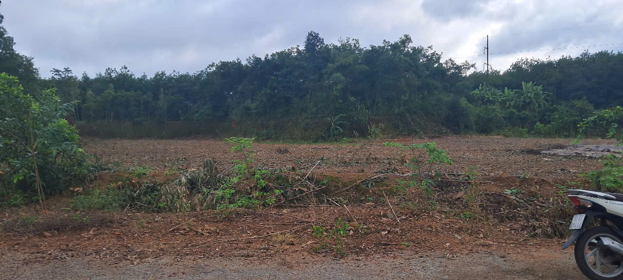 z6783405494233_4d8e6a3d303ea297addff40d4f1f4c74