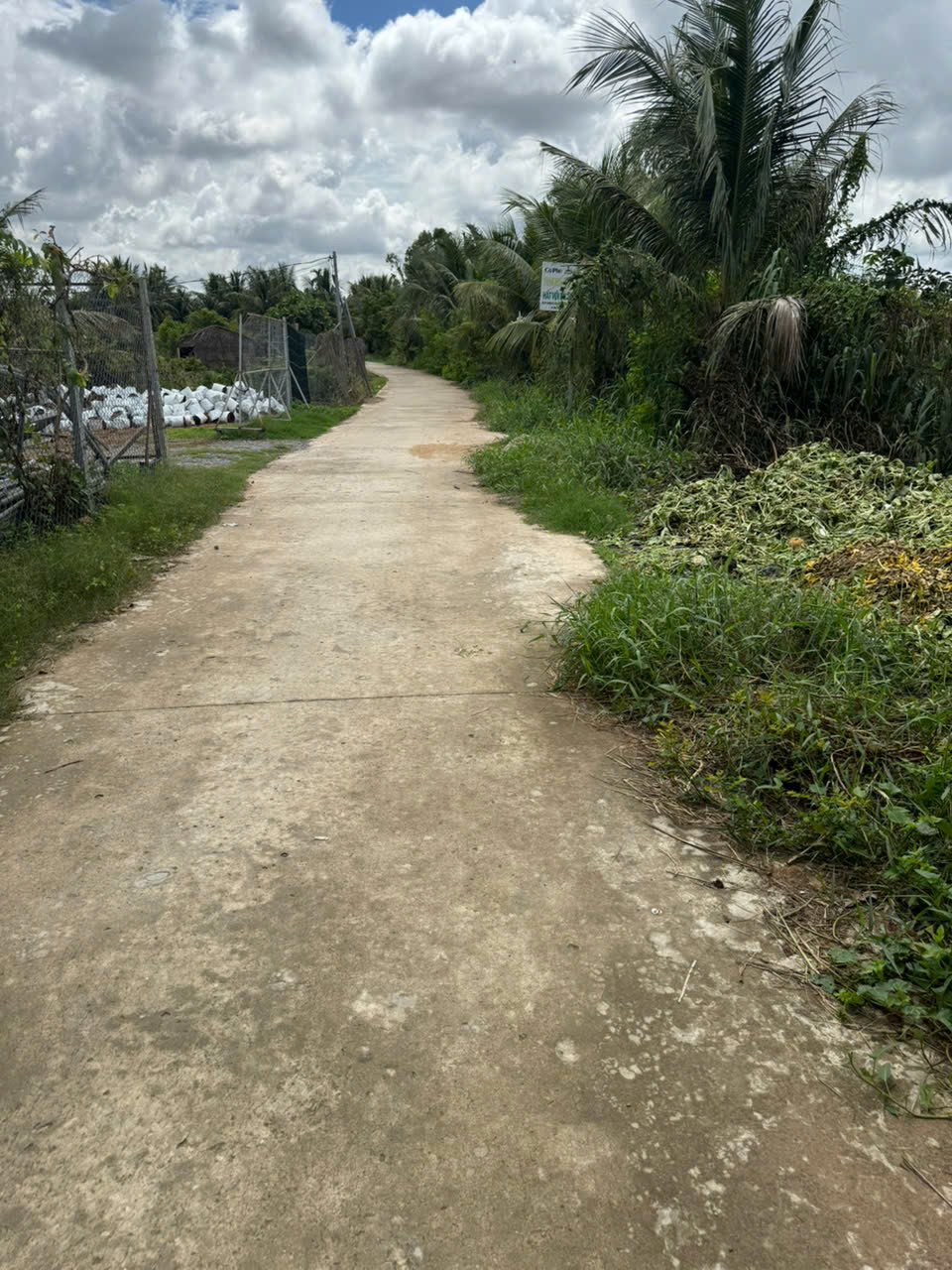 z6783562403783_8f8ff9a09611cd302fe5e9a519b8f749