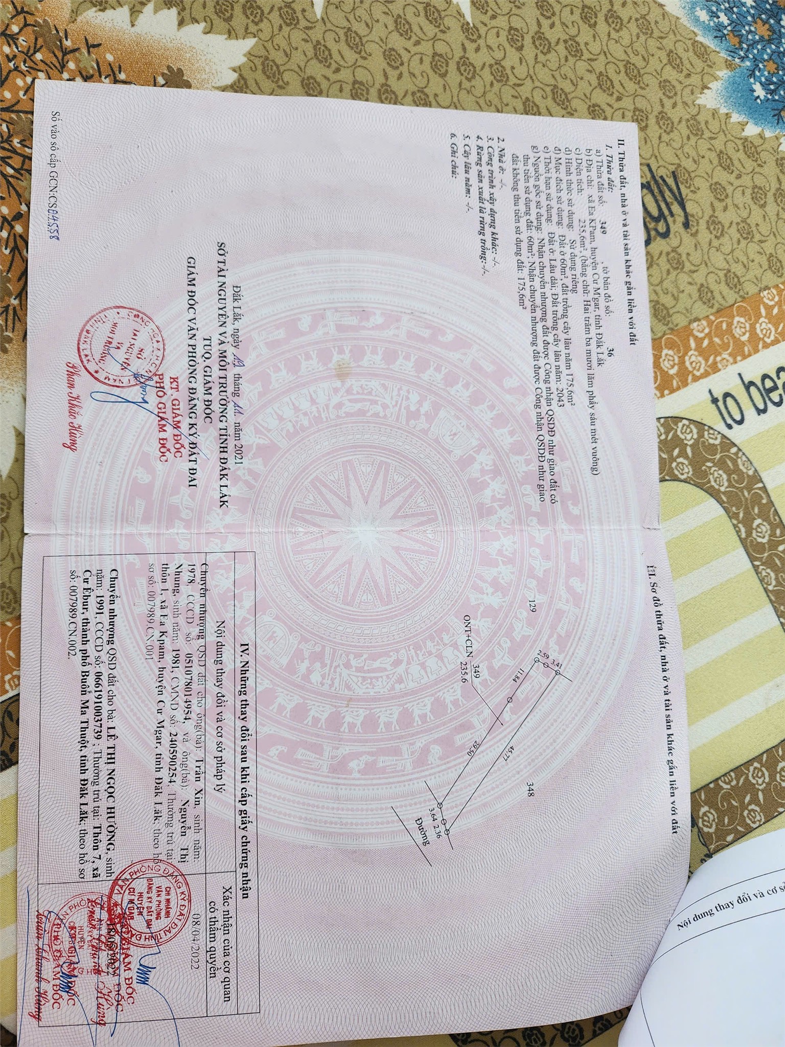 z6786838485891_841a971f51d92fe374621852f997d388