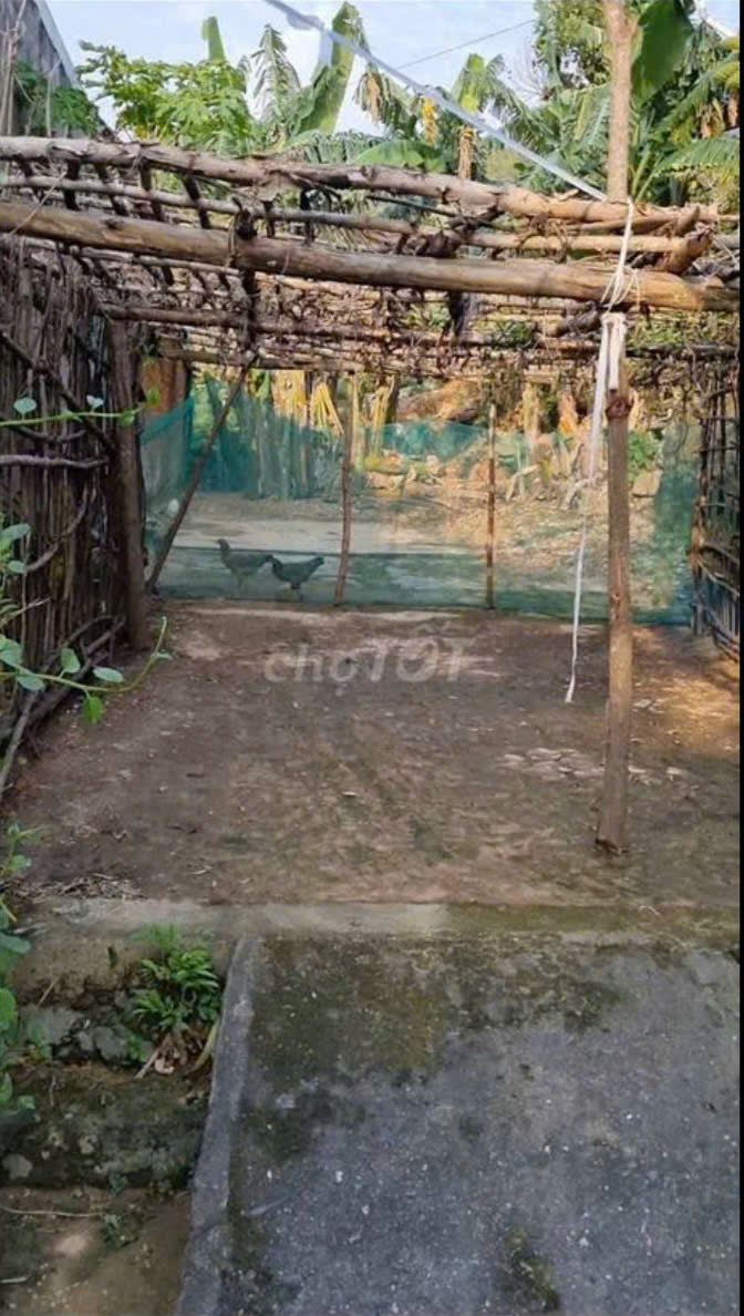 z6787374477473_2c67802f83392c4c5baa1947b57d738d