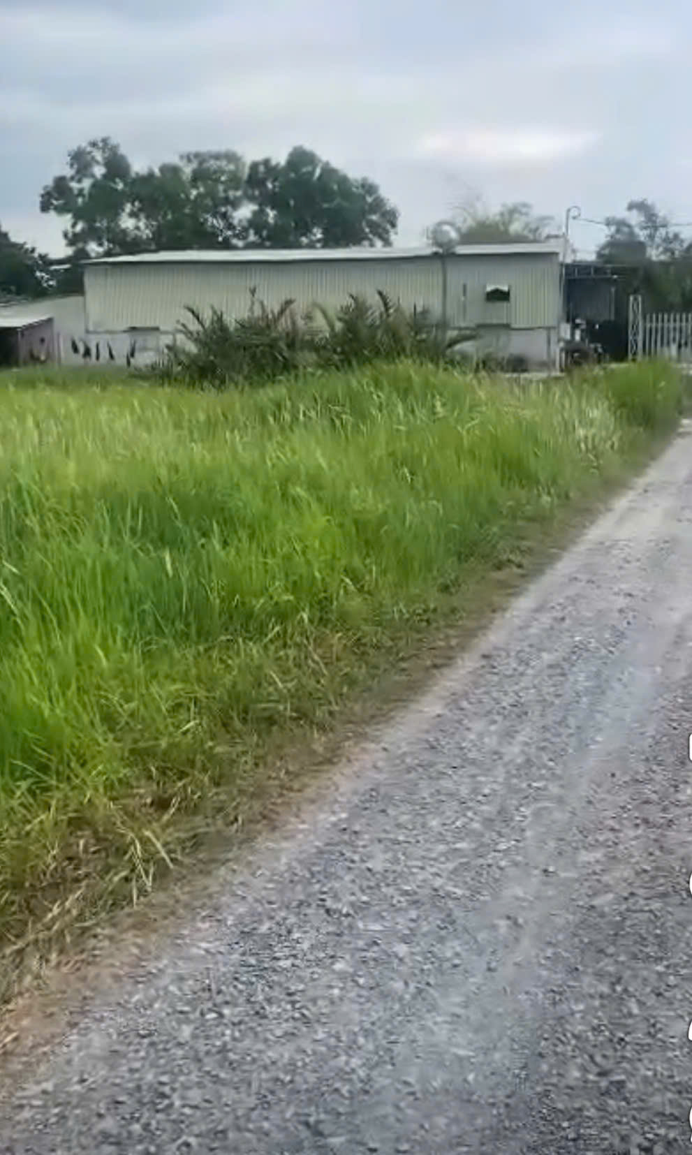 z6789815963144_5c61e363e059cf352d164eccdbb59308