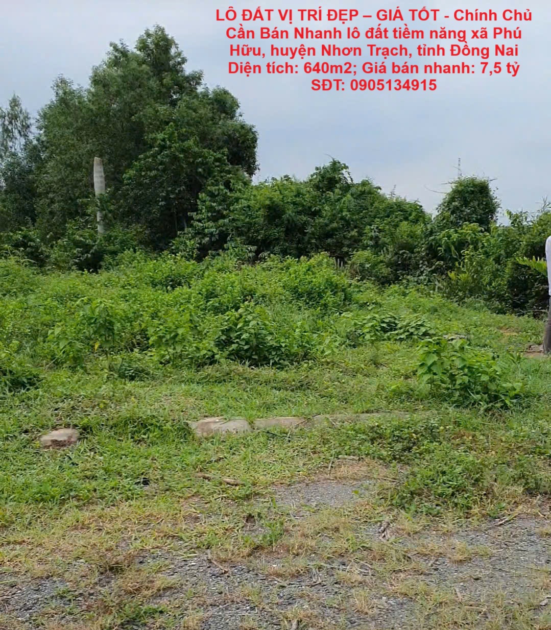 z6789864987843_cc9b9d61a625b3062689911ad96573f