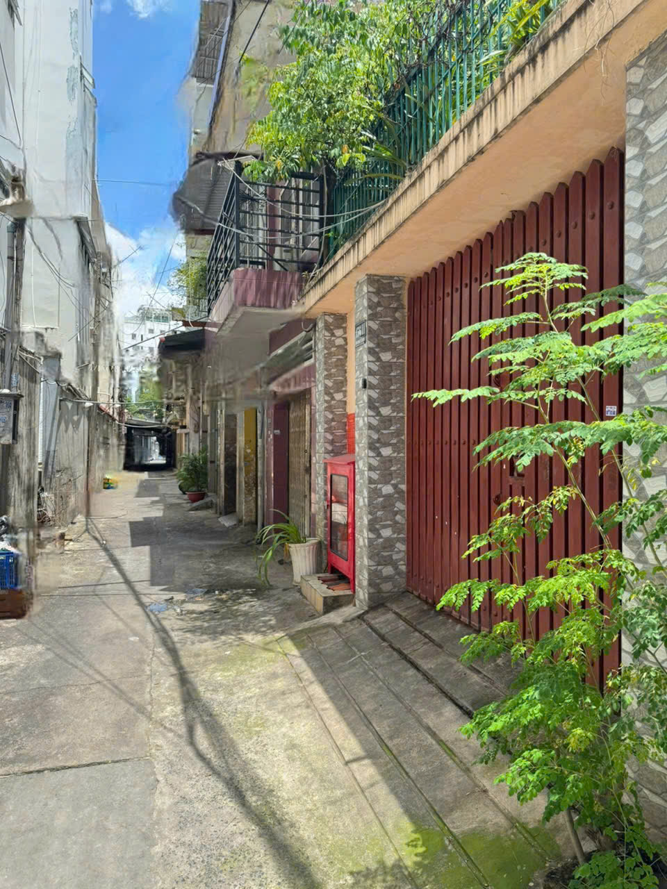 z6790084598124_d0a4fb88333fe4f2704378b448b98799