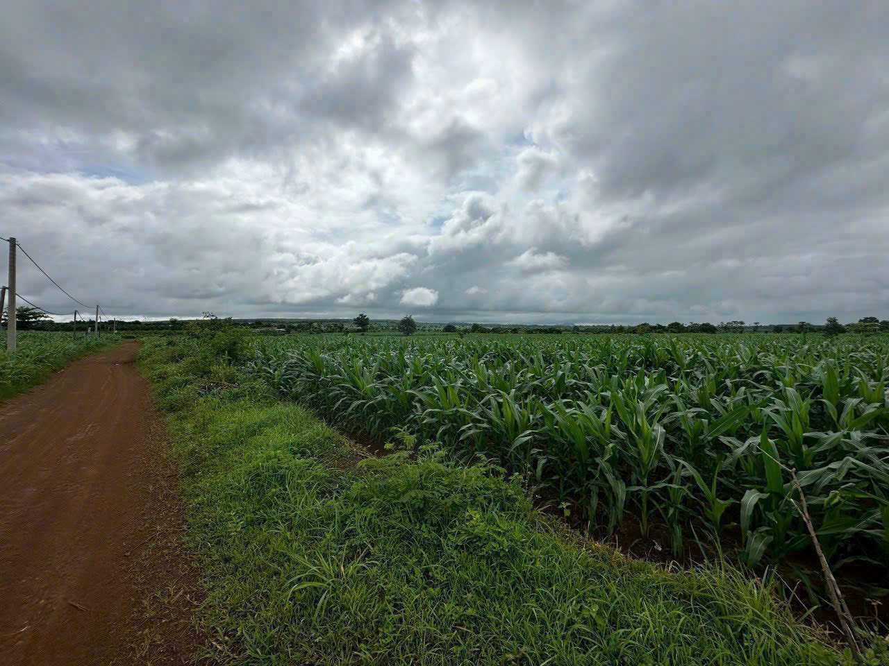 z6791865607732_1d535adaa3802a1e402b20d62897725d