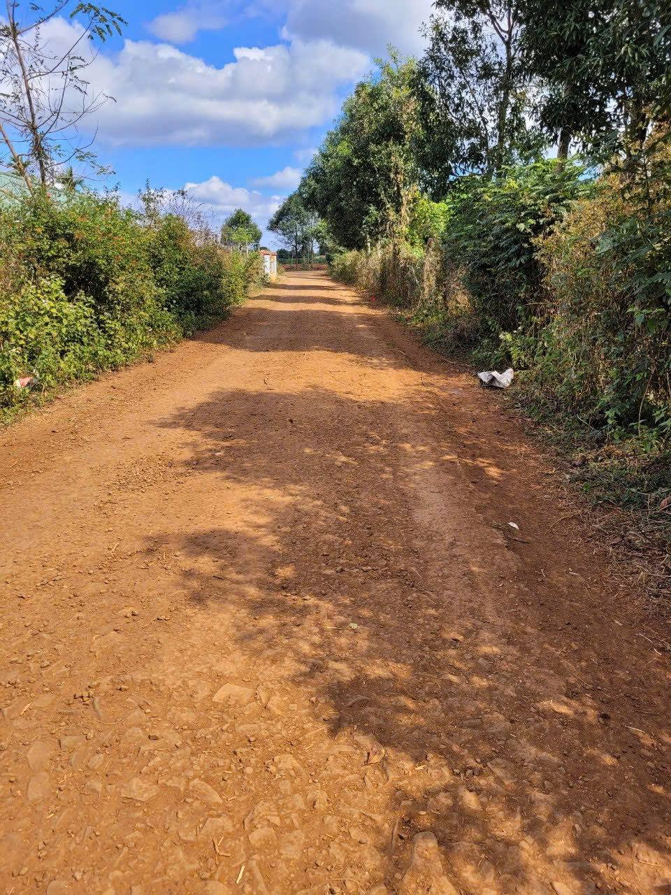 z6793105284660_7b74962cb566837fca5afa442fe8689a