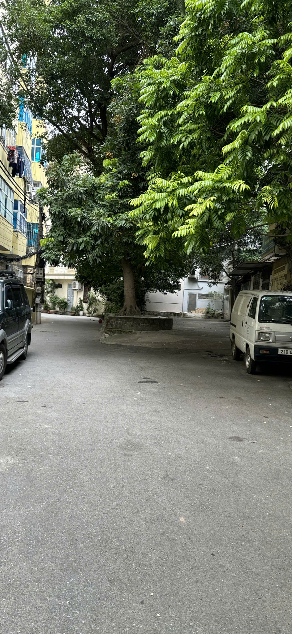 z6793193268976_f821f1dc925051f9cb10771dcd746e63