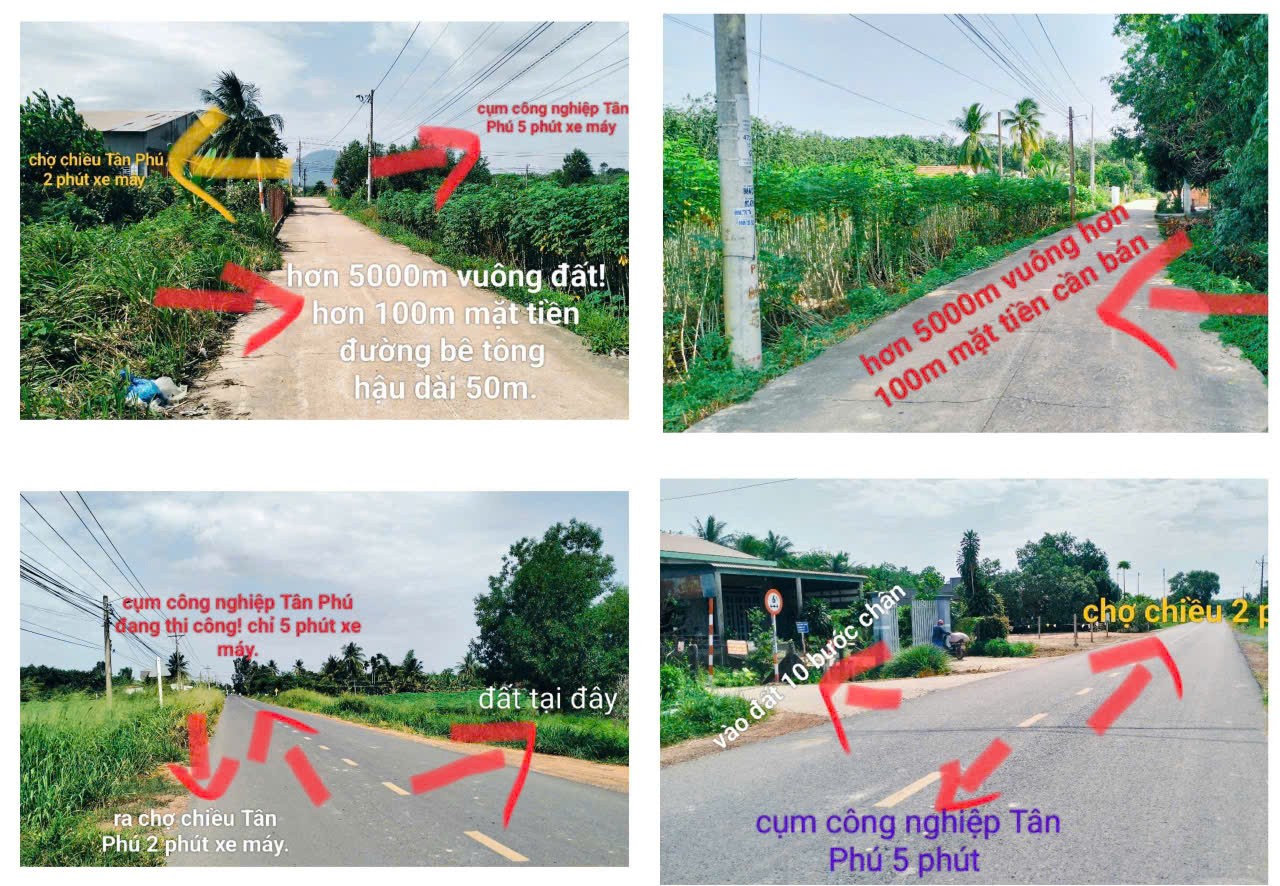 z6793711101967_6bdd6335c7f6c77909efafadf1702711