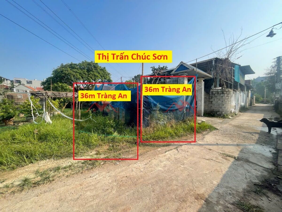 z6794987954431_0e9a88160c146f12c55836acb5204a55