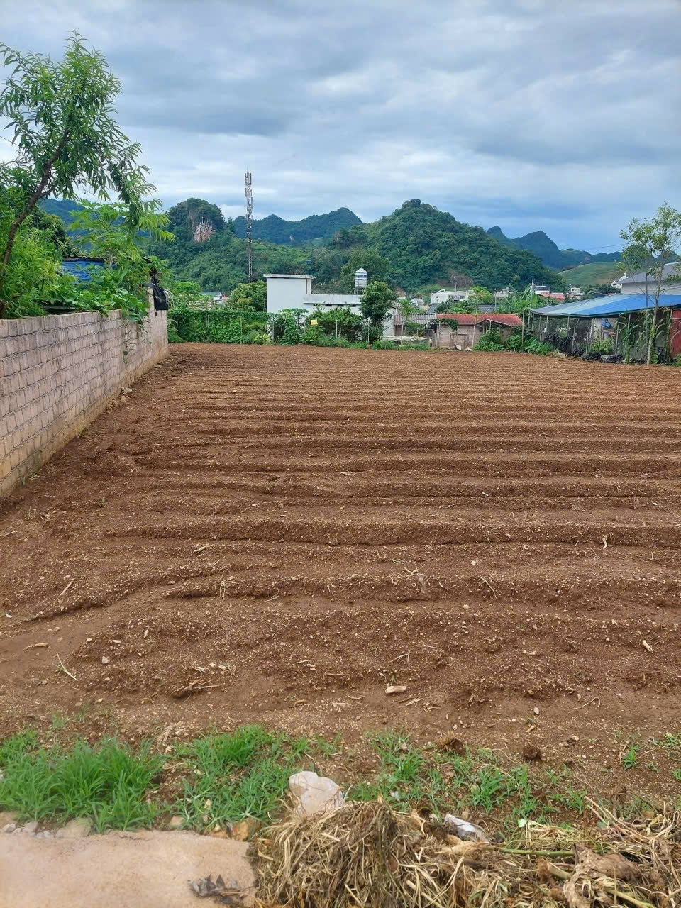 z6795997309702_5e510a6ce550846c2debbd8d326345ae