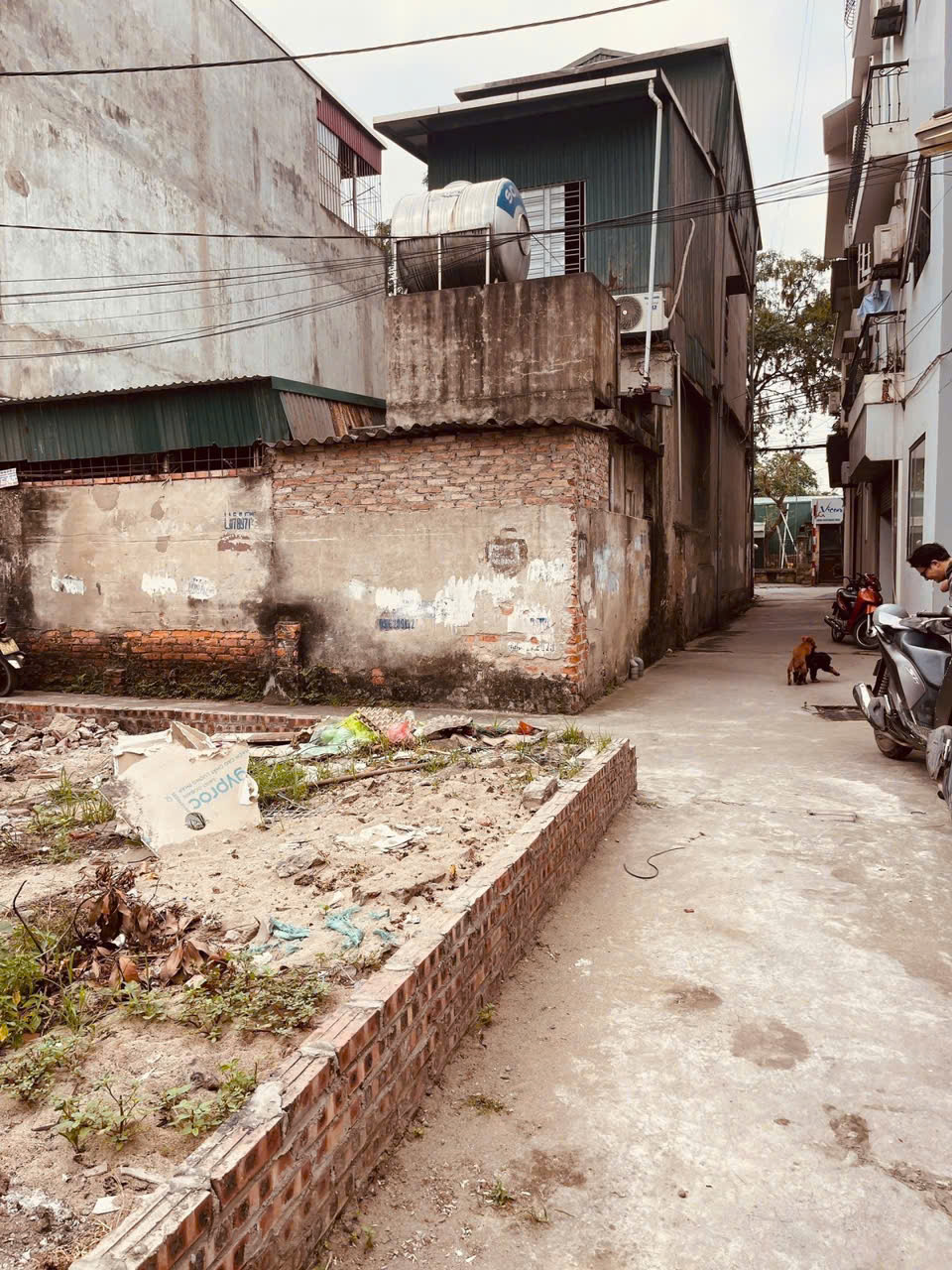 z6796149270218_c55518542956e40dc826c4778636700b