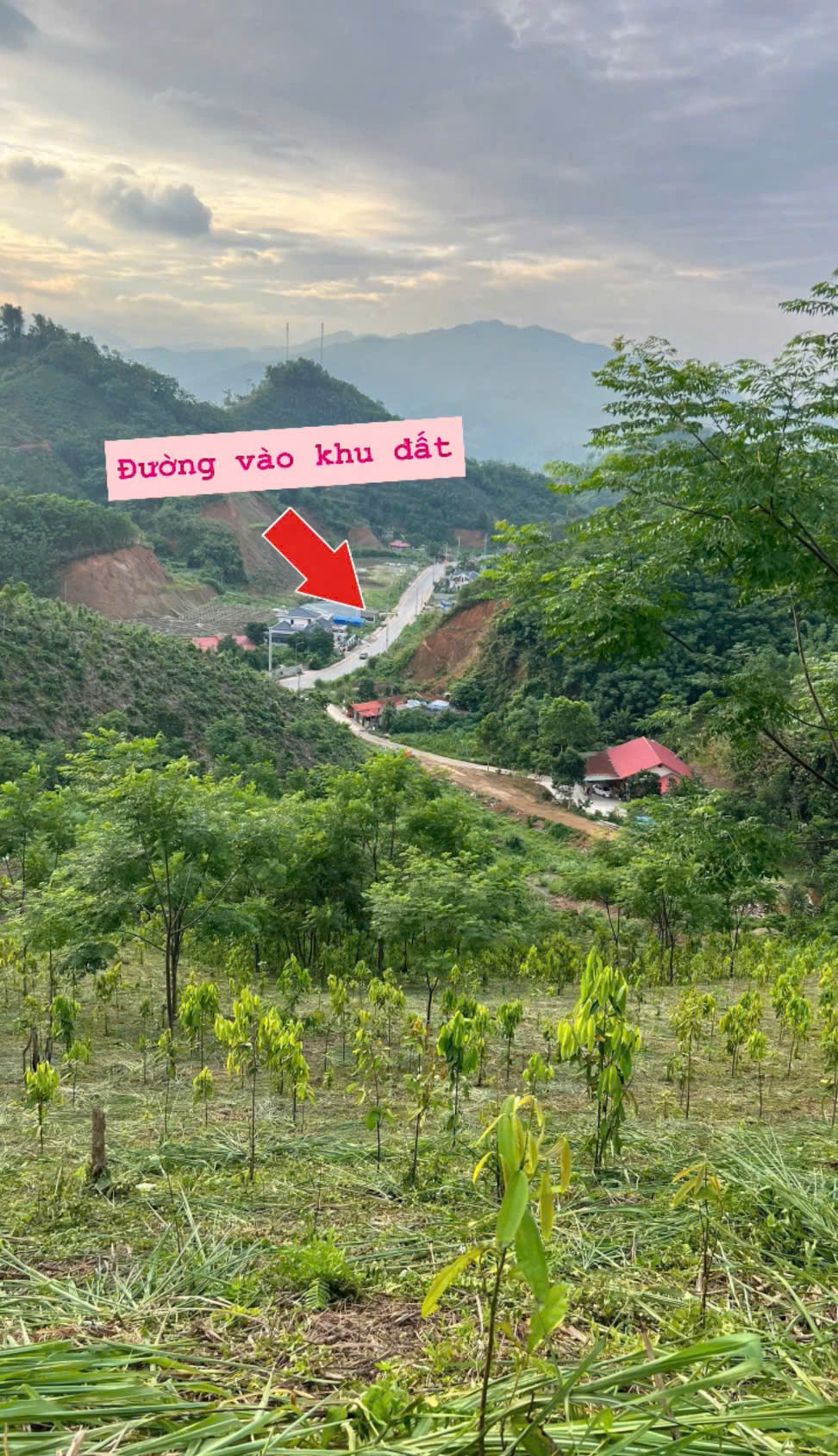 z6796403935252_3d8c9fdfe8c3adf7fa15e569774458c7