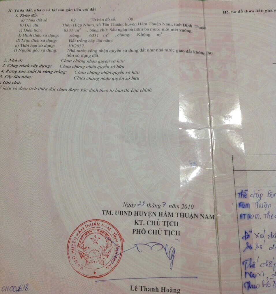 z6800045164342_81f4beeea6ec9a35a5756cf0736853a1