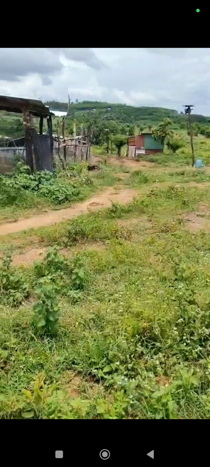 z6800208126380_aae44ba391fd3048e77fcebbb24e8854