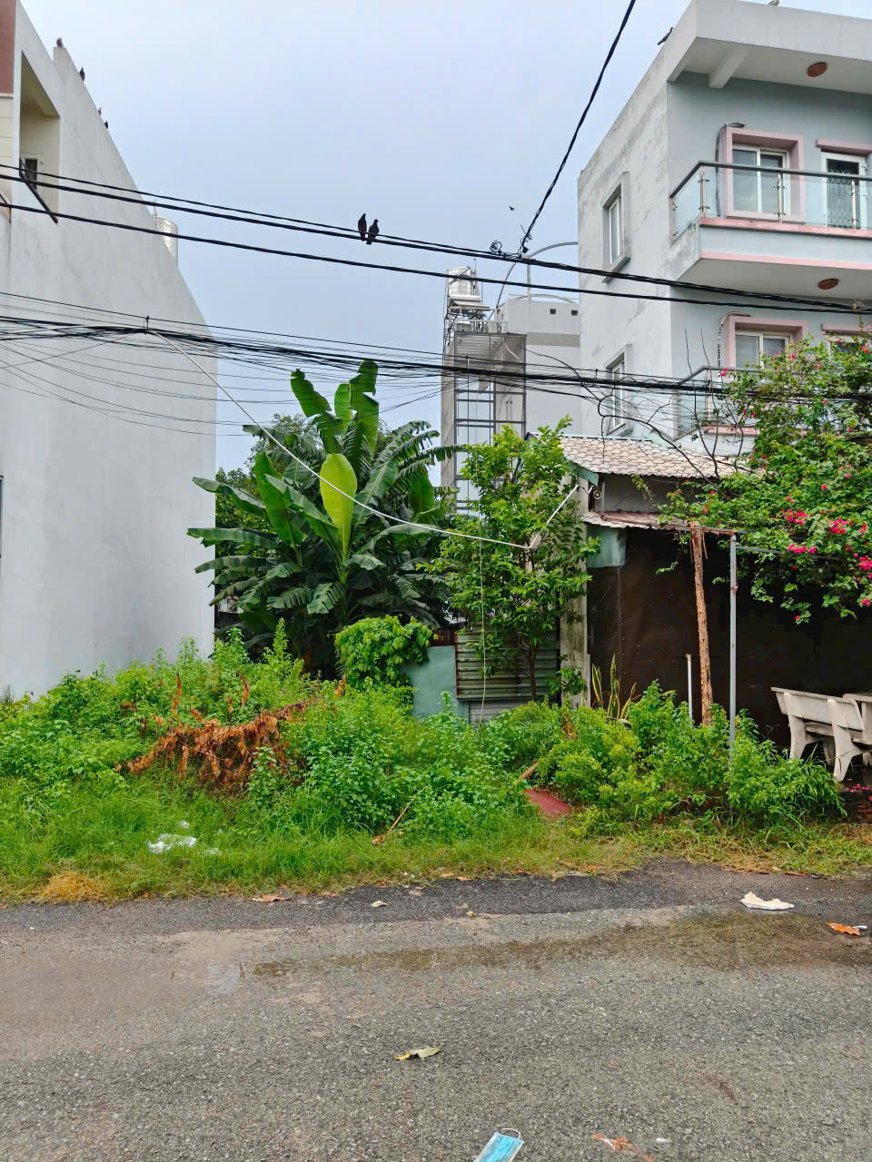 z6801268962471_00d2bb6668084ae788f3a0cfbc8cadd9