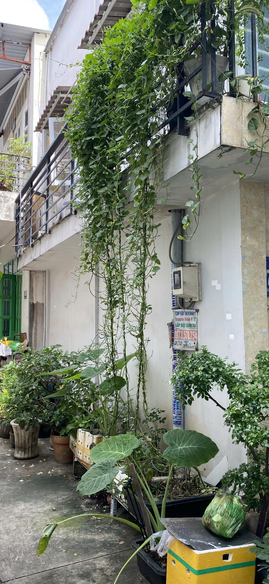 z6802532833172_0ff964058ae5a12d3a6f140af342f0a8