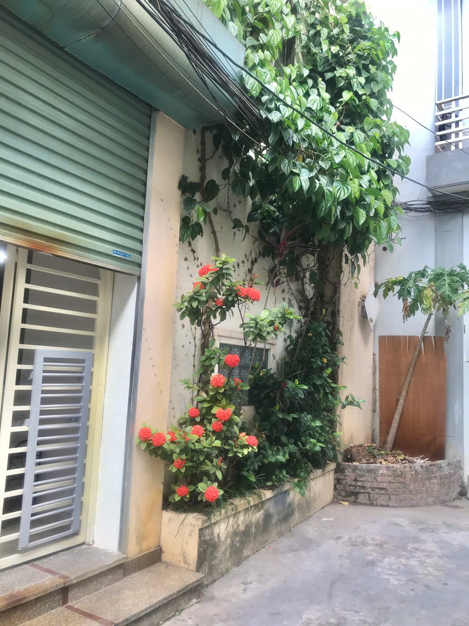 z6803184037102_9ad1e3fd9ddb8bc390c53b171552280f