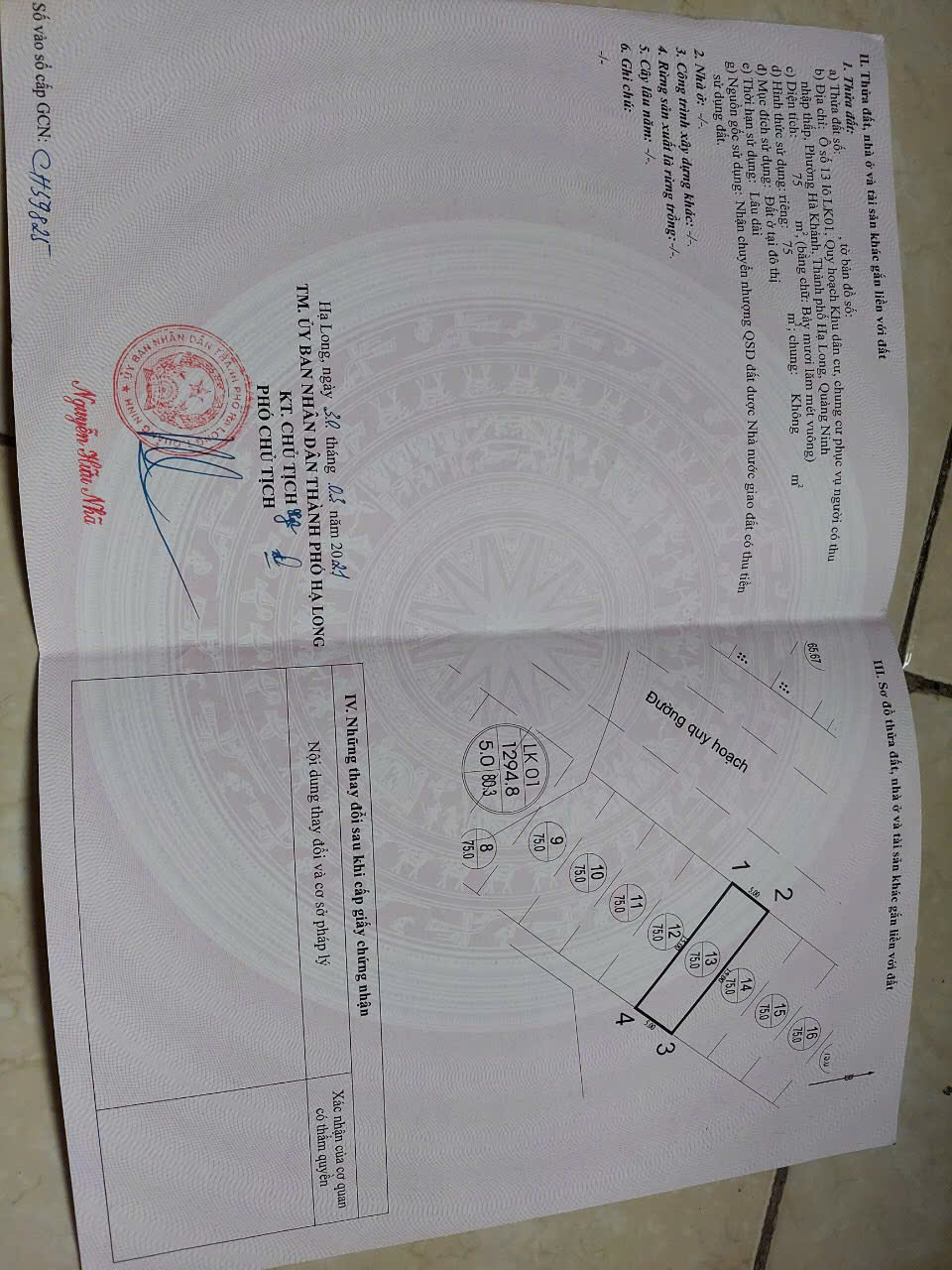 z6805572138936_c9672265e8751a02e18436d13a99821e