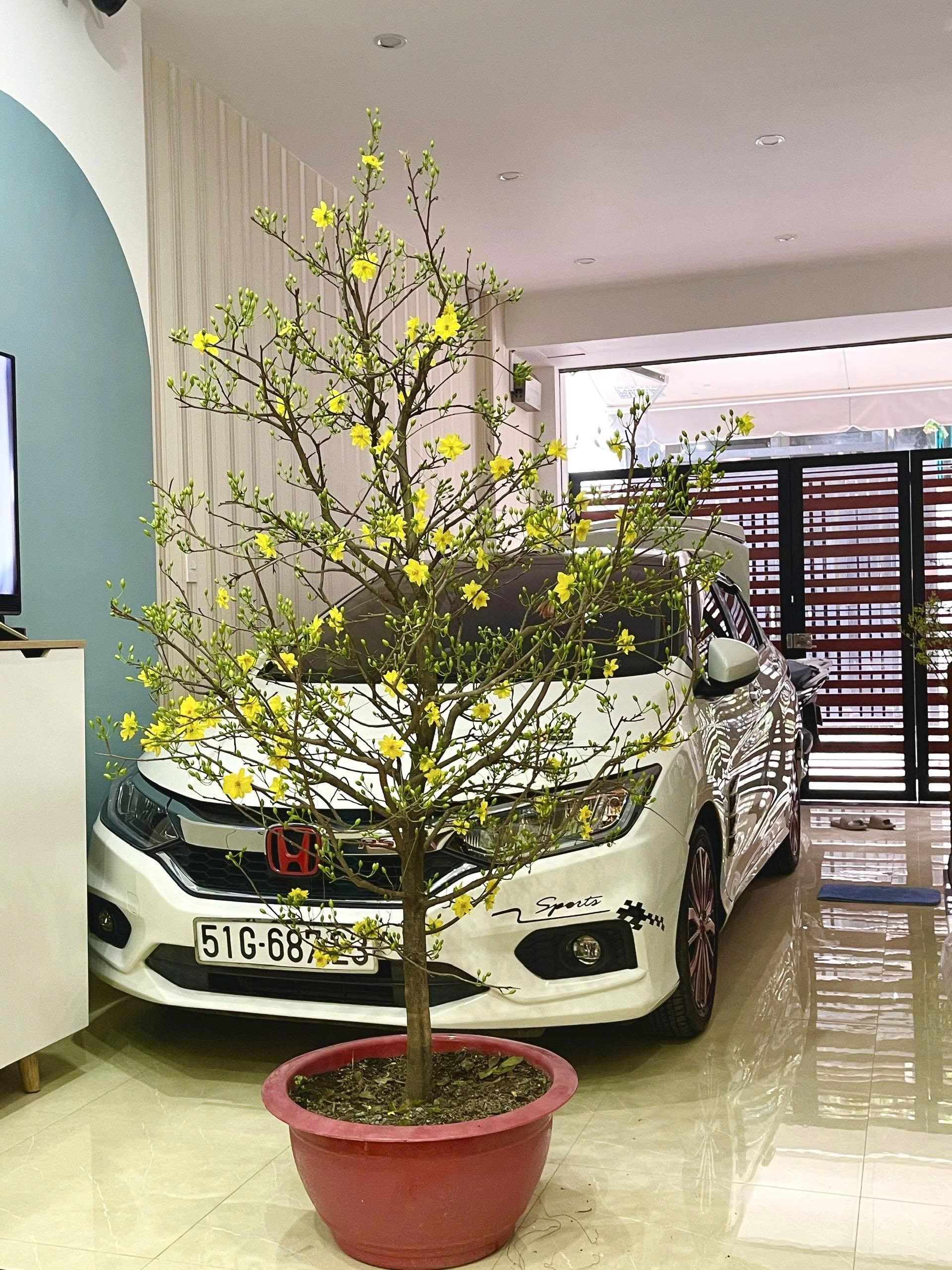 z6807008387894_8bf435b79c98de5d07d818ff3ae0e957