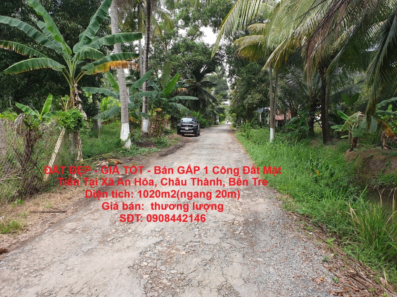 z6807140382461_b75f334db3566c4eced4b3a27e188e45 (2)