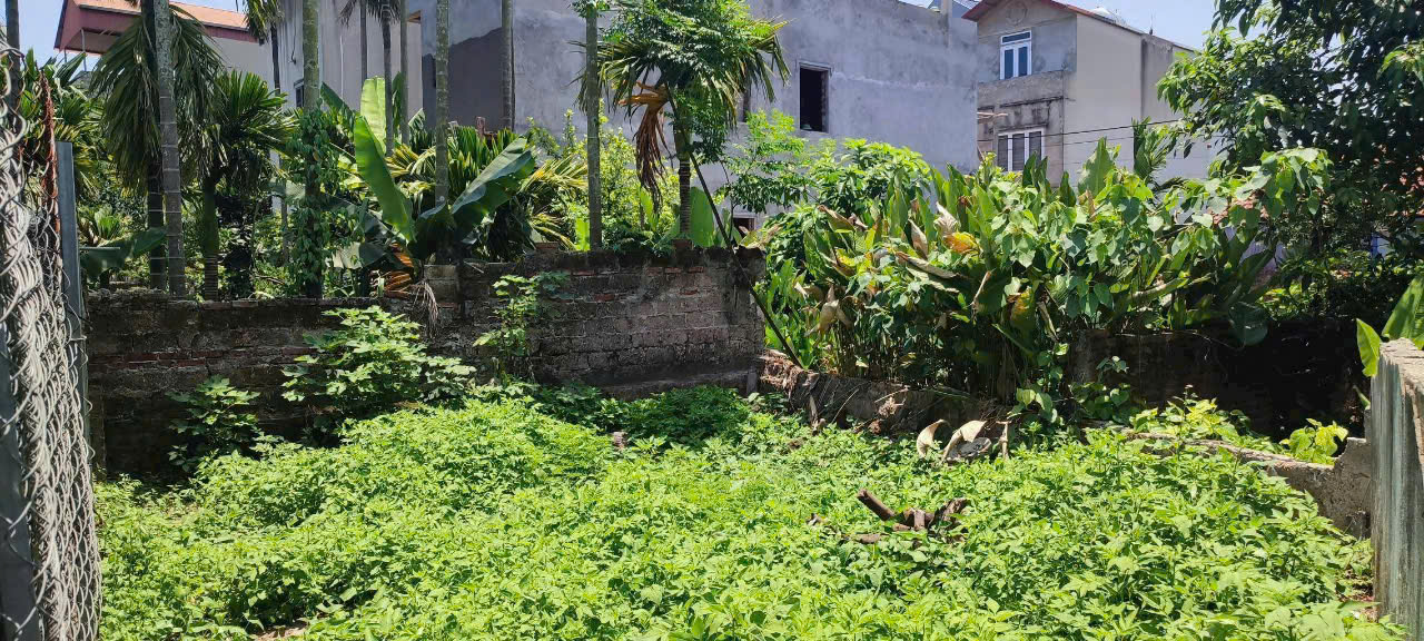 z6808032168721_b410fc1fdcc3192c0e58da085707e392