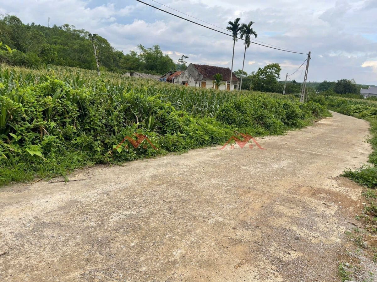 z6808066029062_5db339af58b9e8ff99655c2cdc704ad1