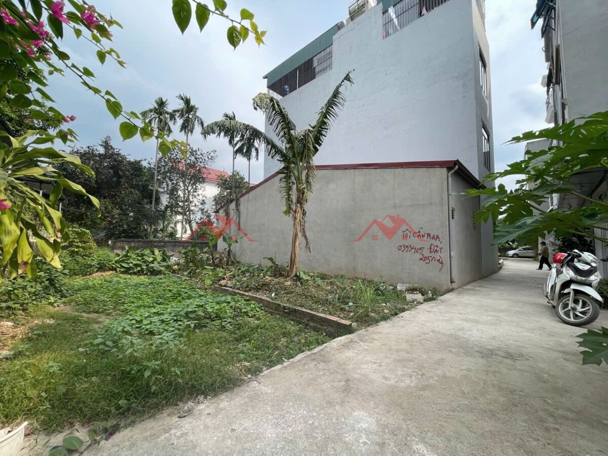 z6811109394786_2320cbe98f39f5fef0e0a6e35914670a