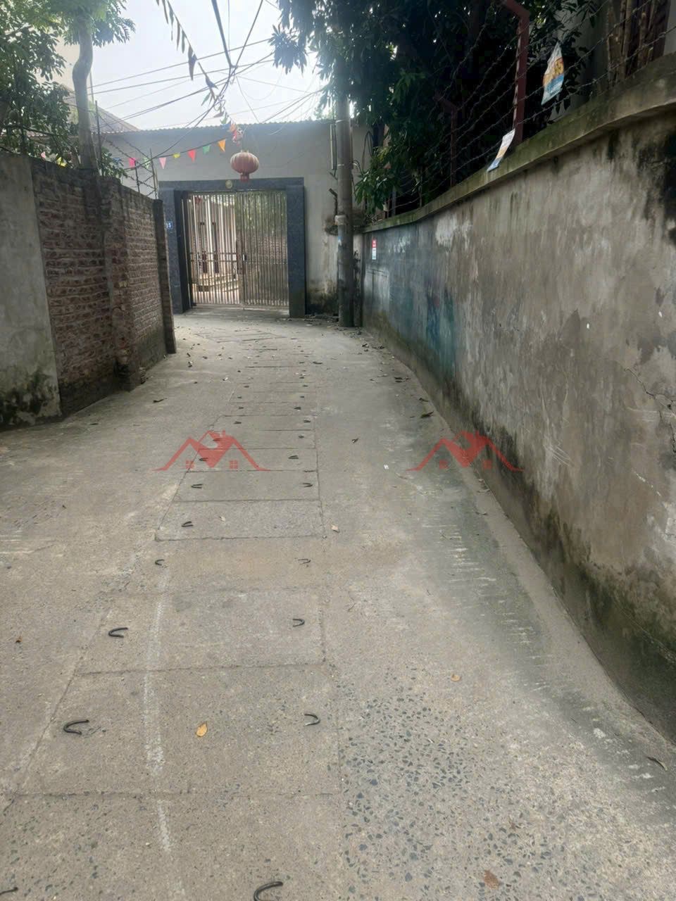 z6811113692642_5531d162eadfc41e89b30180f82bce67