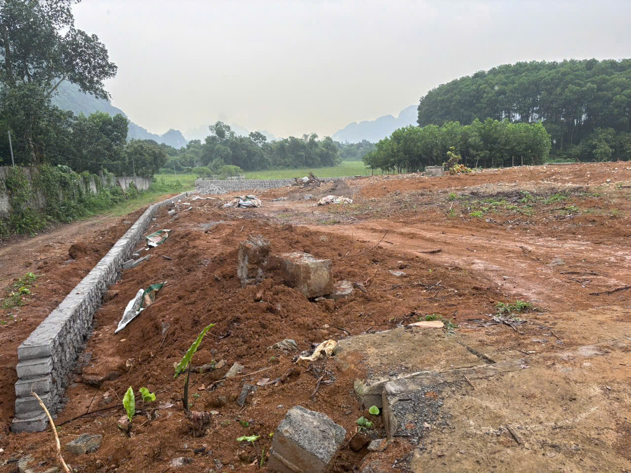 z6811419727347_15e0666669d344743fd89bebea46a244