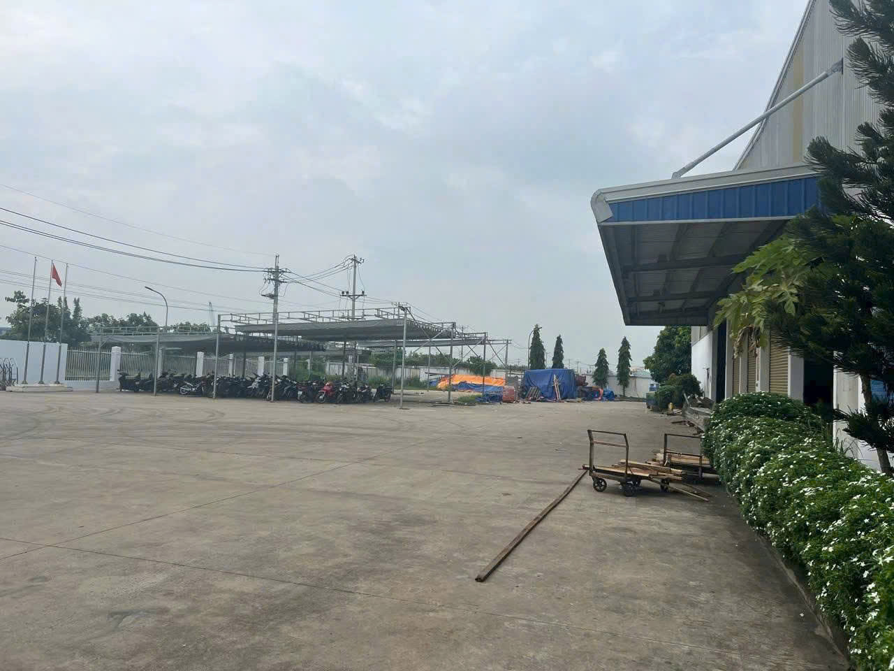 z6812067859547_6e2c7ded26bca8b4d05d682c5e4dfc91