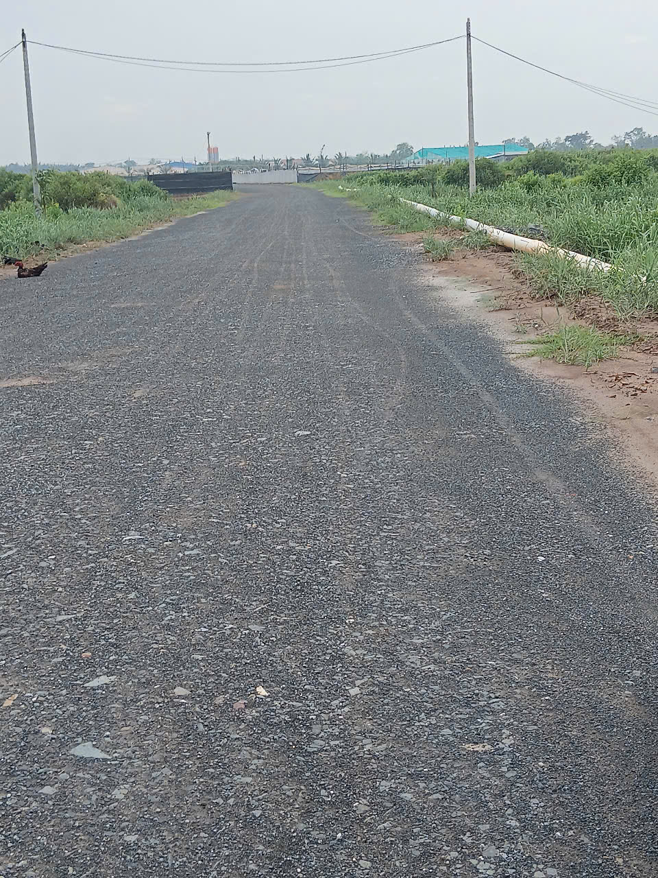 z6812661560950_0c11494cb0f721a439121c3b5ba3193c