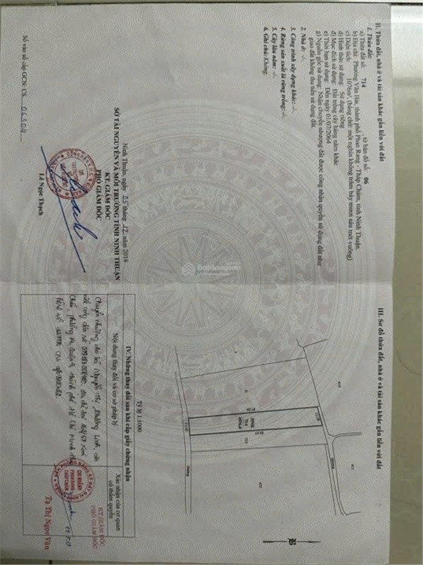 z6817338366582_4206a08bb371338bdae274c149f93da8