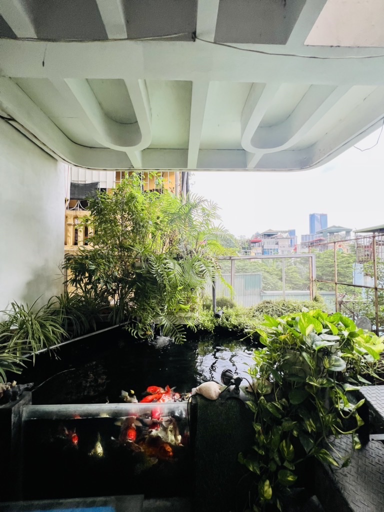 z6818843563367_817cf71697532d1893b15ad2bb9e99d0