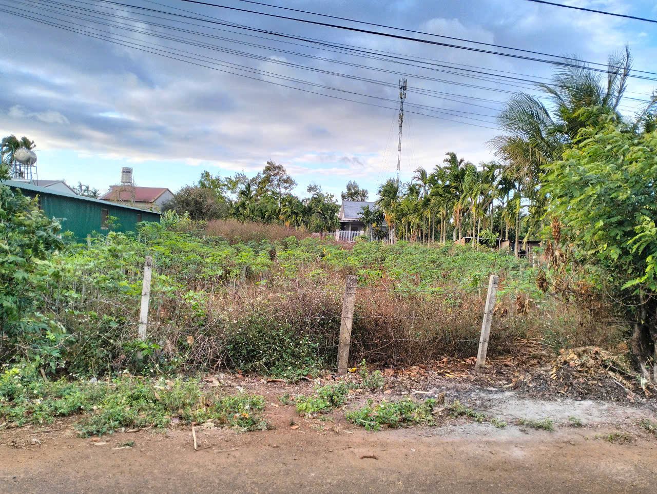 z6822704310571_1e37652dd01b27a523e0d4582d6e191a