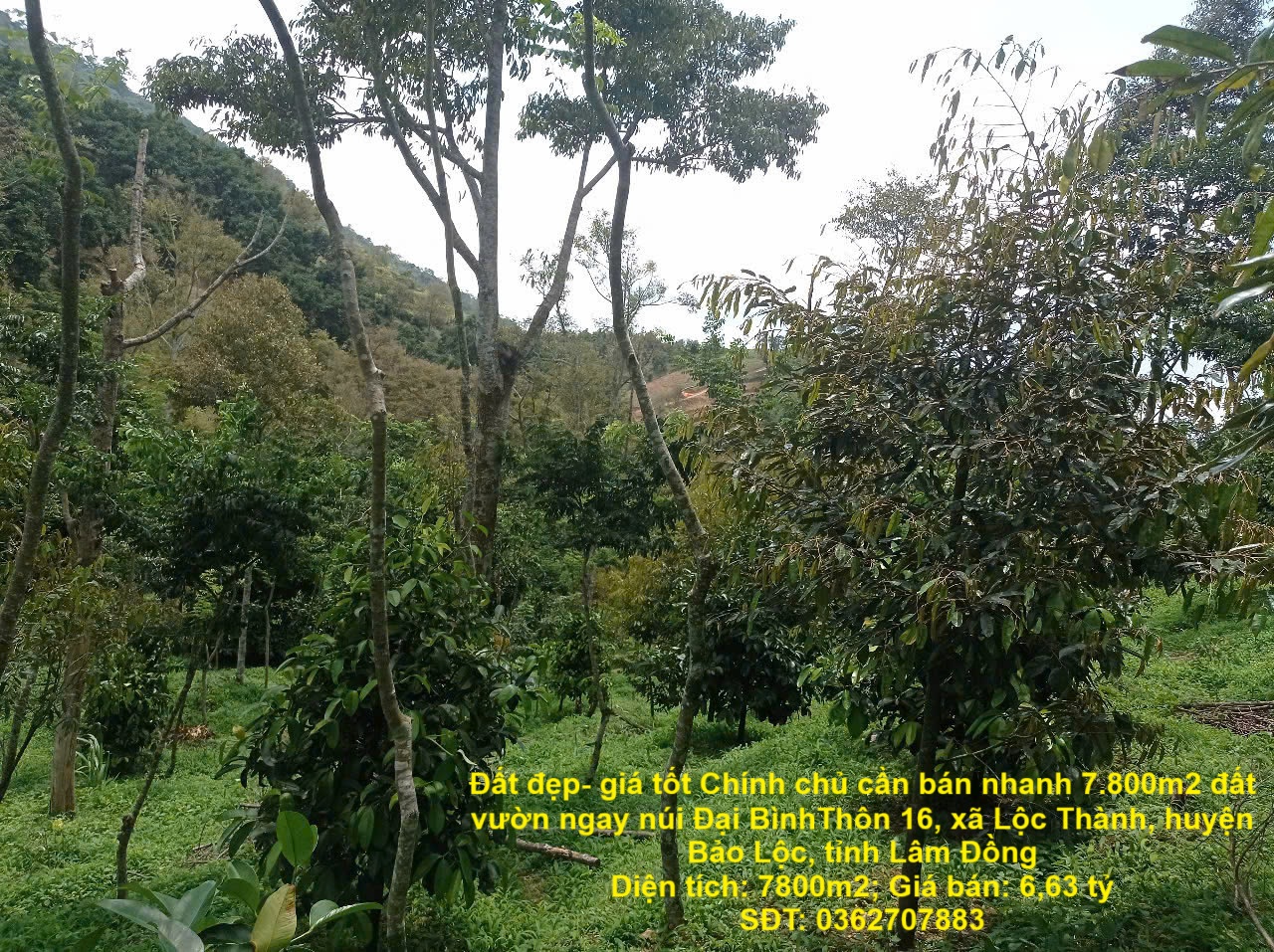 z6823233114480_55749475ce247b7d3b347c6bd4c495d