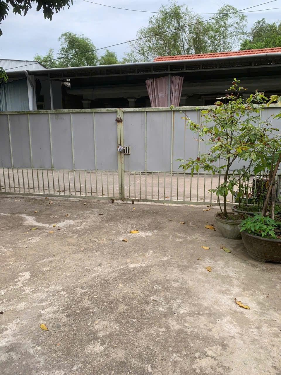 z6825161266484_d836ed4efc868b6d3b262f1047f6b368